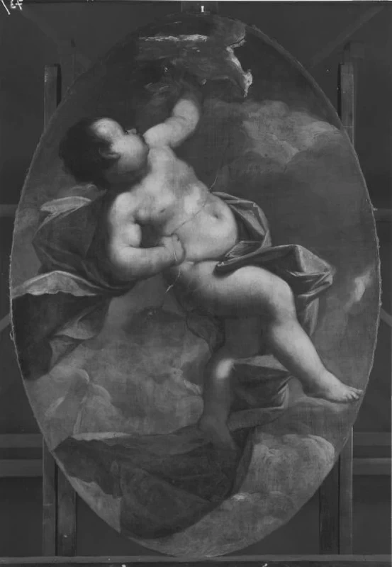 Putto con colomba - Collezioni di pittura statali bavaresi